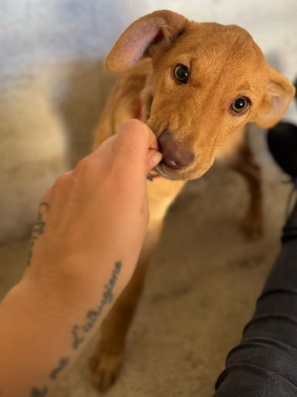 Alex, Paolo & Trilly Foto 4